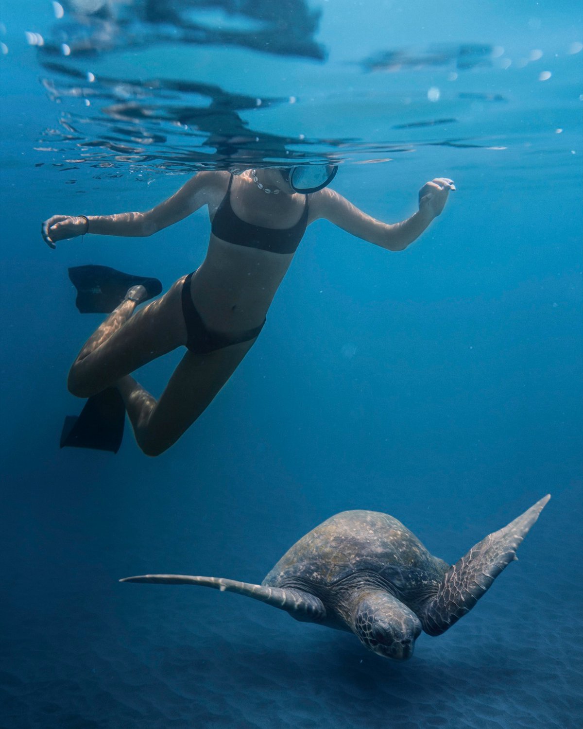 Underwater scene featuring a swimmer in a black bikini snorkeling near a sea turtle gliding gracefully over the ocean floor, surrounded by vibrant coral reef formations and illuminated by natural light filtering through the water’s surface