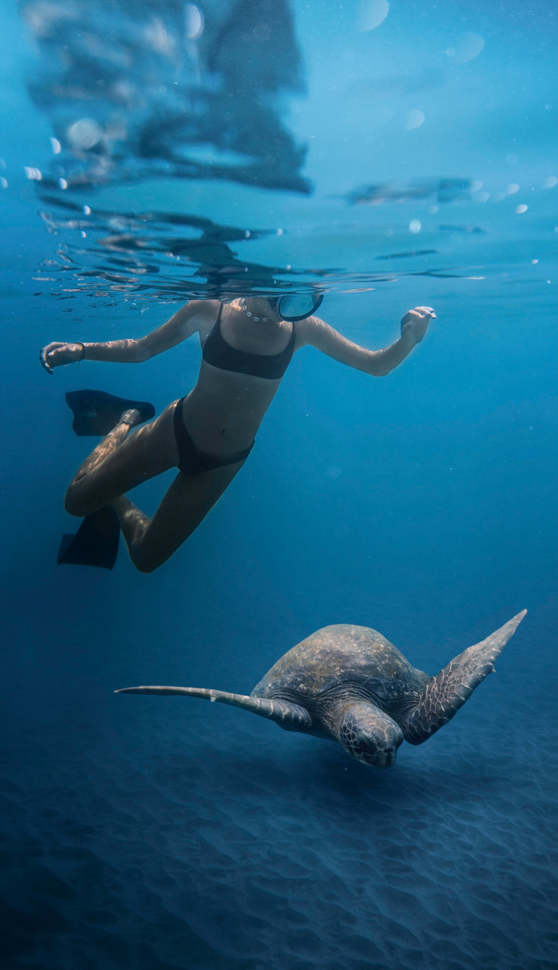 Underwater scene featuring a swimmer in a black bikini snorkeling near a sea turtle gliding gracefully over the ocean floor, surrounded by vibrant coral reef formations and illuminated by natural light filtering through the water’s surface