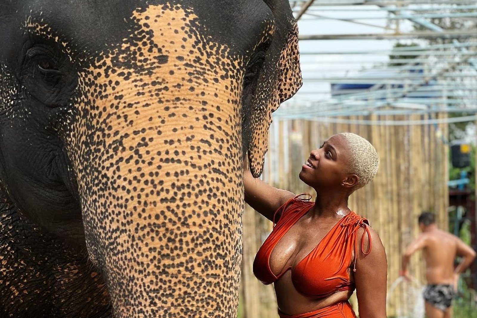 Woman in an orange ruched high-waisted bikini standing beside an elephant